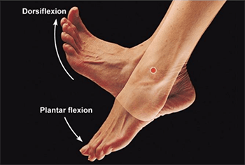 Heel pain Treatment Stretches Beverly Hills, CA 90211